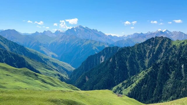 Panning video shows landscape of lush green grass hills with a view of Tianshan Mountains, Xinjiang, China. There are many pine trees and people are trekking on a sunny day.