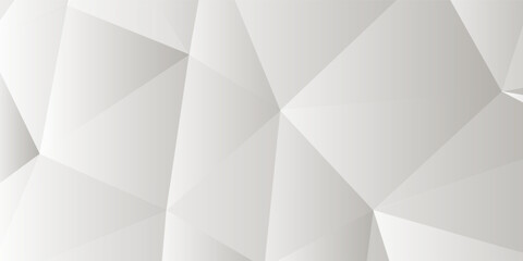 Fototapeta premium Abstract Modern Geometric stripes Triangles Gradient White and Gray Vector Backgrounds. eps 10