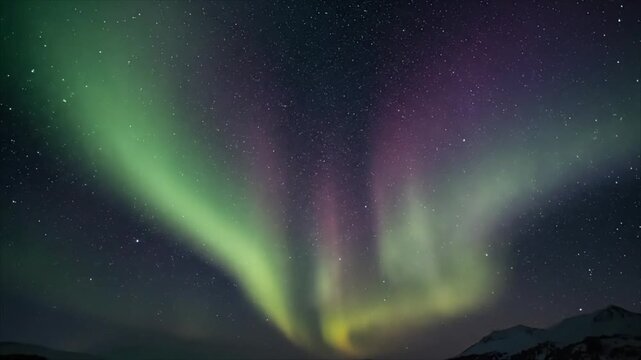 Spectacular Aurora Borealis displays vibrant green and purple lights dancing across the starry night sky