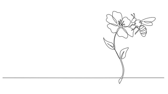animated continuous line drawing of honey bee on flower, line art animation