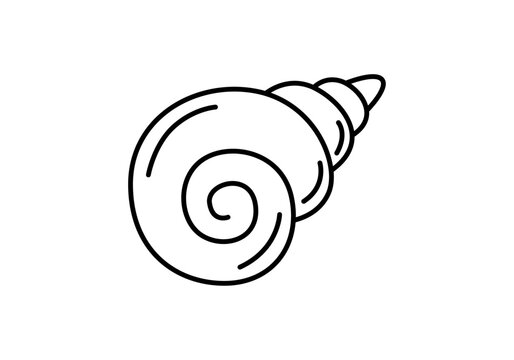 Icono de concha de caracol de mar con trazo lineal negro 