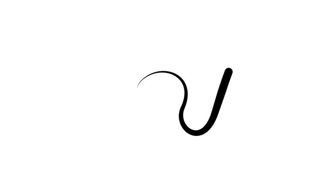 Animated black drop of liquid moving. Fluid effect. Looped video. Vector illustration isolated on white background. 