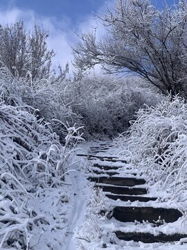 Snowy path through frosted trees in a serene winter landscape under a partly cloudy sky.