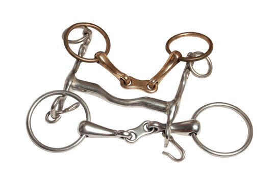 various horse bits isolated on white background. horse equipment