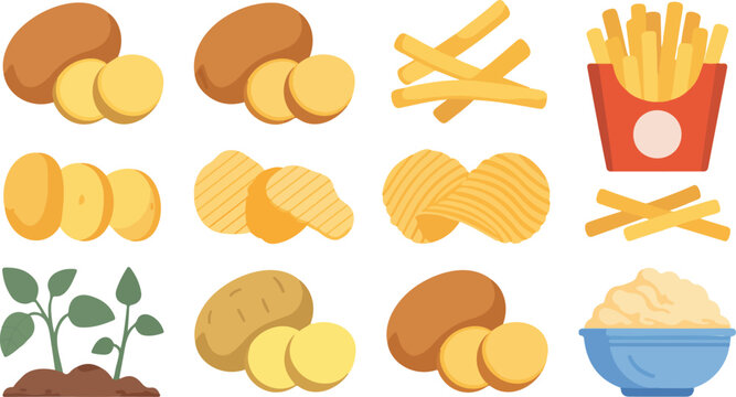 Flat cartoon illustration of potatoes and derivatives including fries chips wedges mashed potato plant grid white background