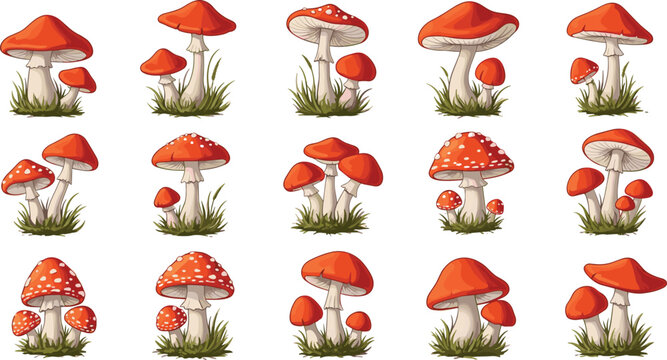 Red Toadstool Mushroom Collection with Amanita Fungi in Grass for Nature Design and Detailed Vector Illustration Set.