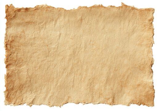 Torn-edged, aged parchment paper, with visible texture and crinkles