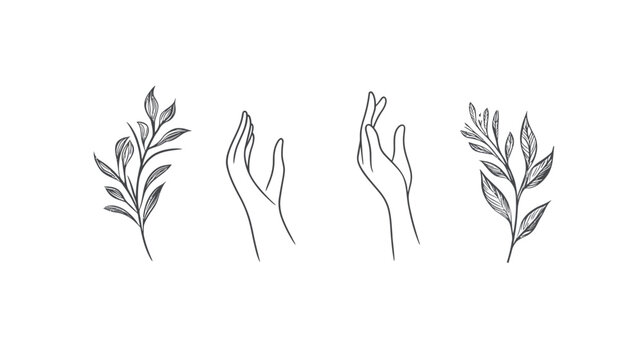 A minimalist illustration features two open hands and two sprigs of leaves in a simple, linear style