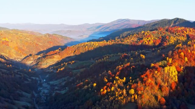Mountain highlands with trees in autumn forest at sunrise