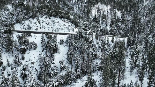 The California San Gorgonio San Bernardino Mountain Range near the Santa  Ana Watershed covered in snow along SR 38 through the Mountain Pass