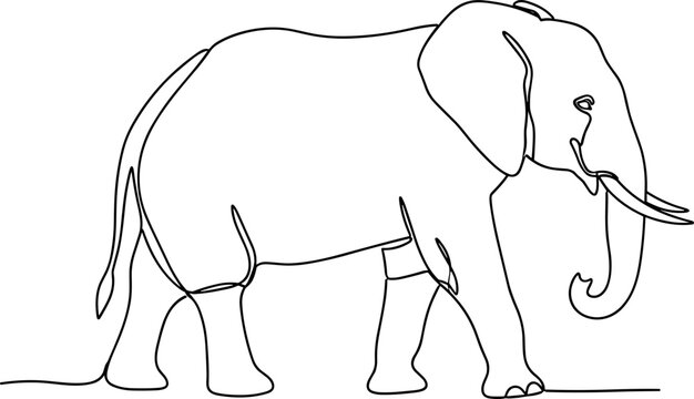 Minimalist continuous line drawing of an elephant walking in profile, clean outline art