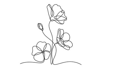 Obraz premium Continuous single line drawing of three beautiful blooming poppy flowers