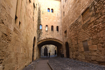 Obraz premium Medieval door of Narbonne Cathedral, France