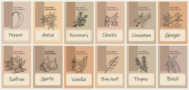Hand-drawn spice labels on warm-toned background. Each herb is illustrated with delicate botanical lines. Muted earth tones evoke rustic, organic kitchen charm. Perfect for cookbooks, food blogs 