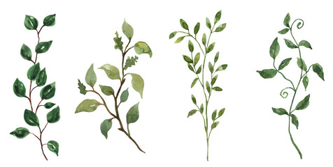 Watercolor greenery clipart set with leafy branches, hand-painted botanical elements isolated on transparent background © Anna Nekotangerine