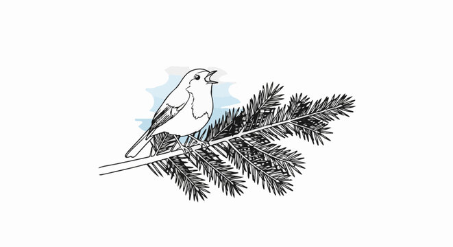 A delicate line drawing of a small bird perched on a pine branch, singing