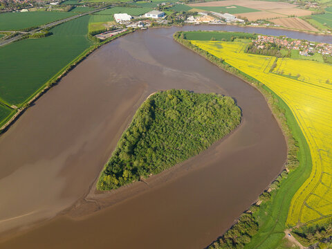 Aerial view of Howden Dyke Island in the River Ouse surrounded by muddy water, vibrant yellow rapeseed fields, and lush green farmland in Goole, England, United Kingdom.