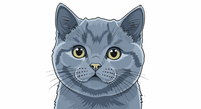 Close-up illustration of a fluffy gray cat's face with large yellow eyes and whiskers