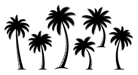 Fototapeta premium Five stylish black and white palm trees illustration