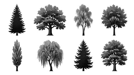 Fototapeta premium Set of Trees Elevation View for Architectural Drawings
