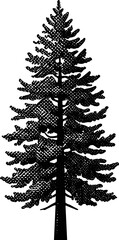Fototapeta premium Trees Elevation View for Architectural Drawings