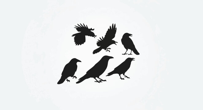 Silhouettes of six birds, some in flight, others perched