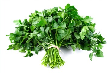 Obraz premium Fresh Bunch of Cilantro on a White Background Ready for Cooking or Garnishing Food Dishes