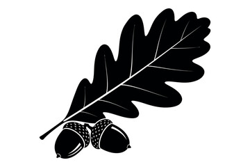 Silhouette of an oak leaf with acorns on a white background © NusratJahan