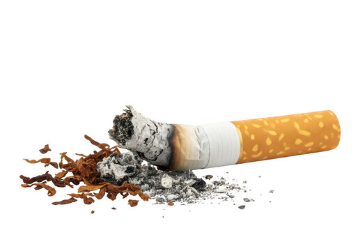 Broken cigarette butt with scattered ash and tobacco remnants on a plain surface isolated on transparent background
