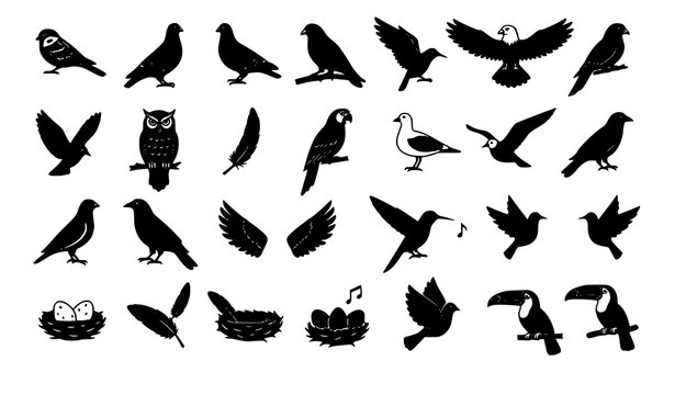 Bird icon set black silhouette flying perched feather nest vector isolated on white background