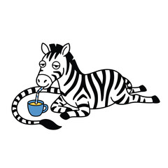 Fototapeta premium Zebra Lying Down Drinking from Cup with Straw