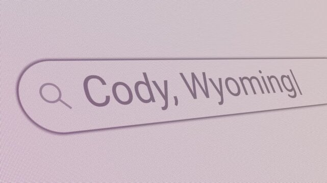 Search Bar Cody Wyoming 
Close Up Single Line Typing Text Box Layout Web Database Browser Engine Concept