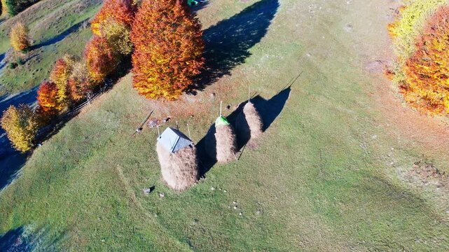 Covered hay stacks among yellowed trees on mountain slope