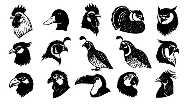 Bird head silhouette set rooster duck owl falcon parrot vector isolated on white background