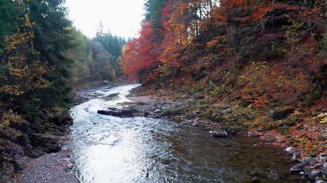 River rapids near mountain foothill with terracotta forests