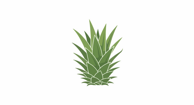 Stylized green pineapple crown with pointed leaves on white background