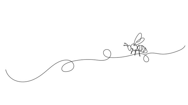 animated continuous line drawing of flying bee, honeybee line art animation