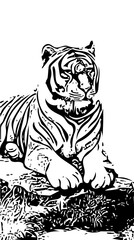 Fototapeta premium Internasional Tiger day 