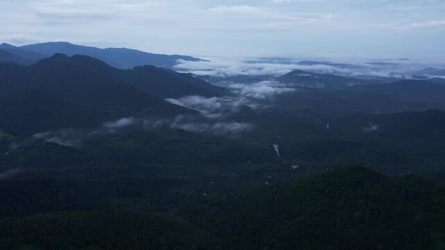 Aerial drone view of mist covered tropical rainforest with morning fog rolling over lush green mountain in Kerala