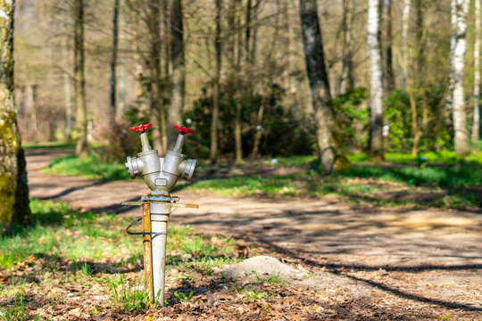 Metal bifurcated fire hydrant standpipe on a forest path &ndash; industrial firefighting equipment in nature, detailed shot of water infrastructure in the woods on a sunny spring day.