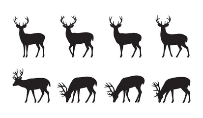 Fototapeta premium Silhouette deer set standing grazing and looking sideways with large antlers in natural habitat woodland.