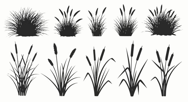 Ten black silhouette illustrations of various marsh grasses and cattails on a white background