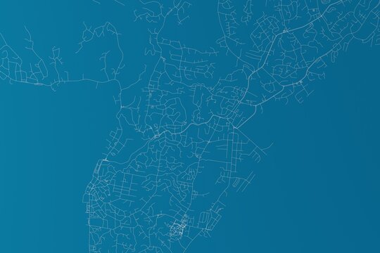 Map of the streets of Suva (Fiji) made with white lines on blue background. 3d render, illustration