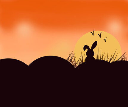 Cute bunny rabit watches sunset