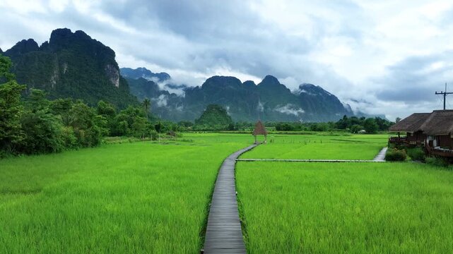 Aerial view of green rice paddies and limestone mountains in Vang Vieng, Laos.