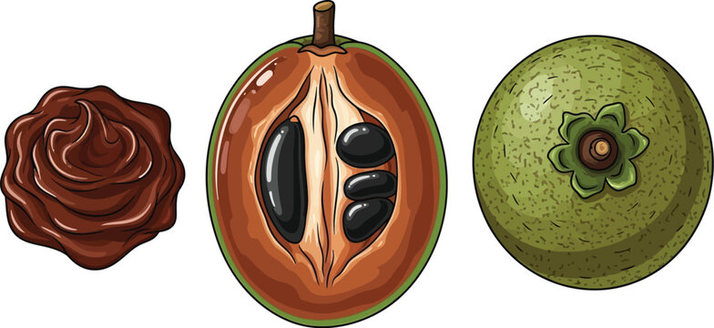 Black sapote fruit is displayed with its dark pulp and green outer casing.