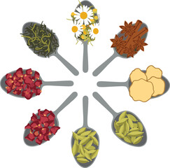 Spice filled spoons arranged in radial circle pattern vector illustration with herbs and seasonings for culinary branding, packaging, and recipe design © Protima