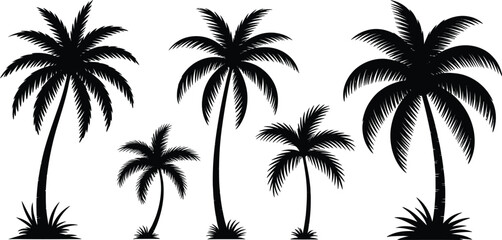 Fototapeta premium Black palm tree silhouettes, tropical icons, palm tree set, vector graphics
