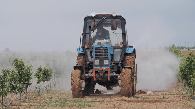 Agricultural Tractor Spraying Crops in Dusty Vineyard.