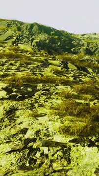 Rugged mountain terrain features large rocks and patches of plants under daylight. The view shows a natural environment with a variety of textures.